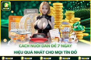 Cách Nuôi Dàn Đề 7 Ngày Hiệu Quả Nhất Cho Mọi Tín Đồ