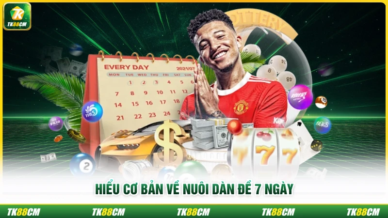 Hiểu cơ bản về nuôi dàn đề 7 ngày